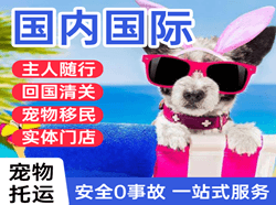 长沙航空货运国际宠物托运 【国